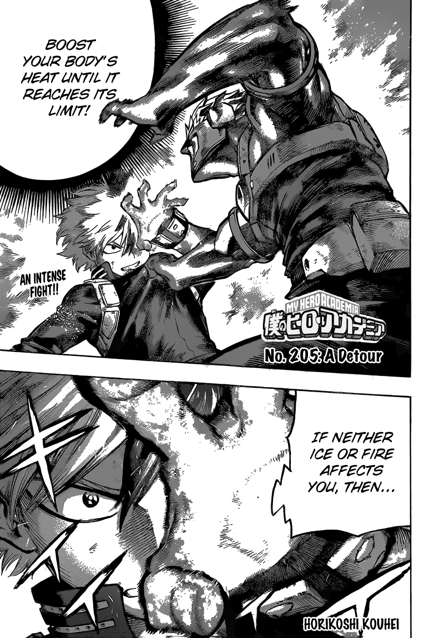 My Hero Academia, chapter 205