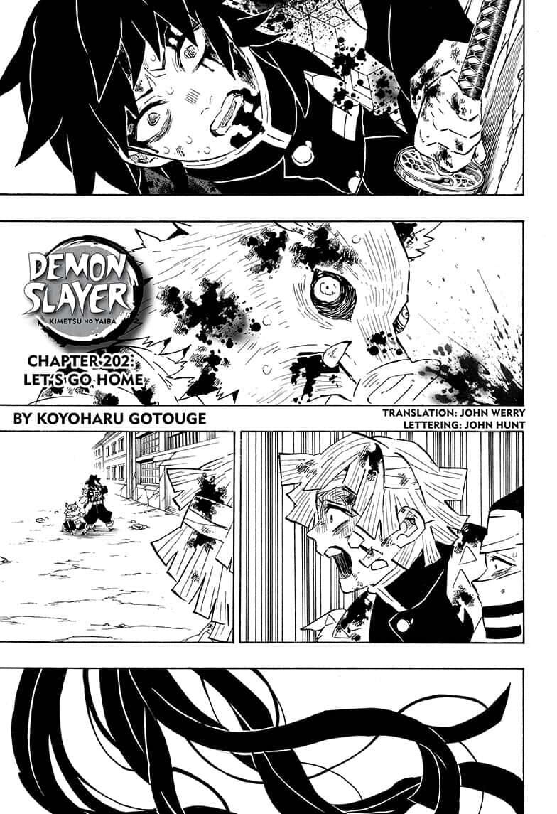 Demon Slayer, chapter 202