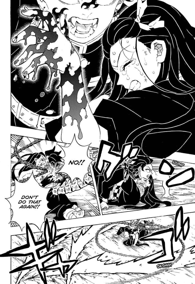 Demon Slayer, chapter 202