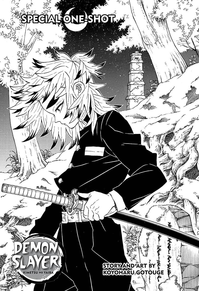 Demon Slayer, chapter 205.5