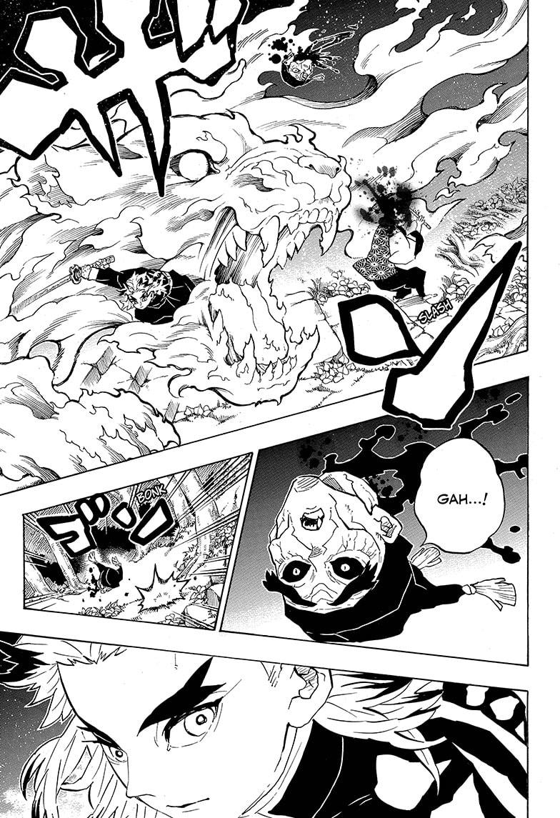 Demon Slayer, chapter 205.5