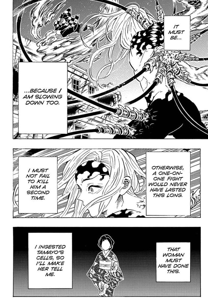 Demon Slayer, chapter 193