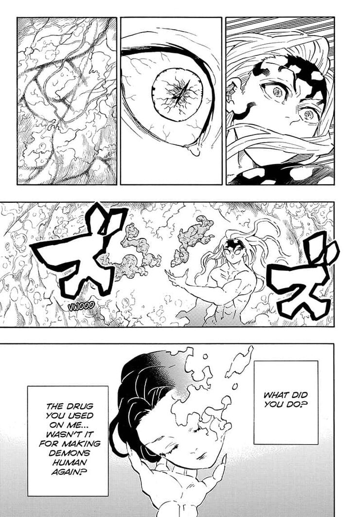 Demon Slayer, chapter 193