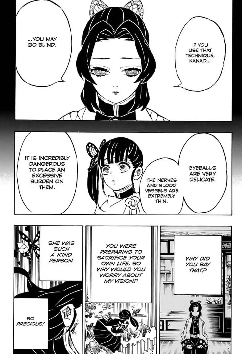 Demon Slayer, chapter 162