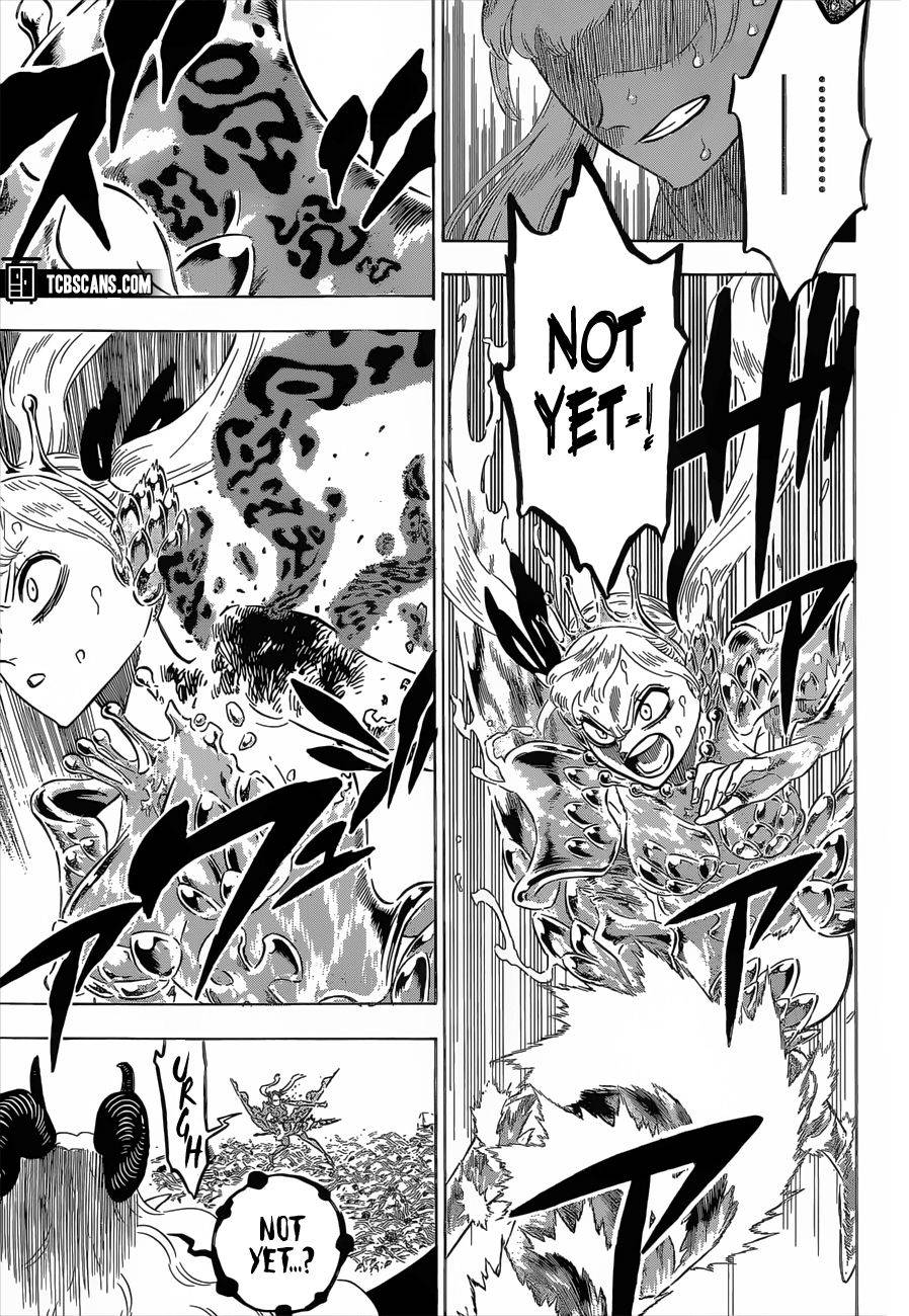 Black Clover, Chapter 300