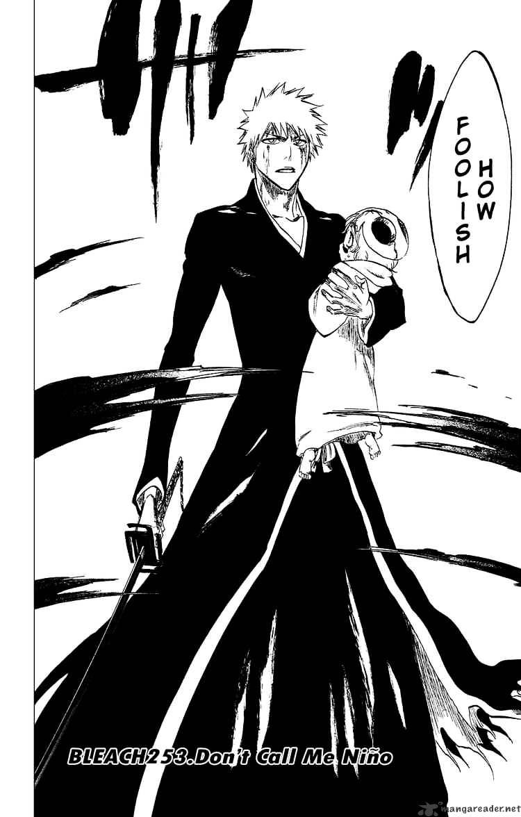 Bleach, Chapter 253