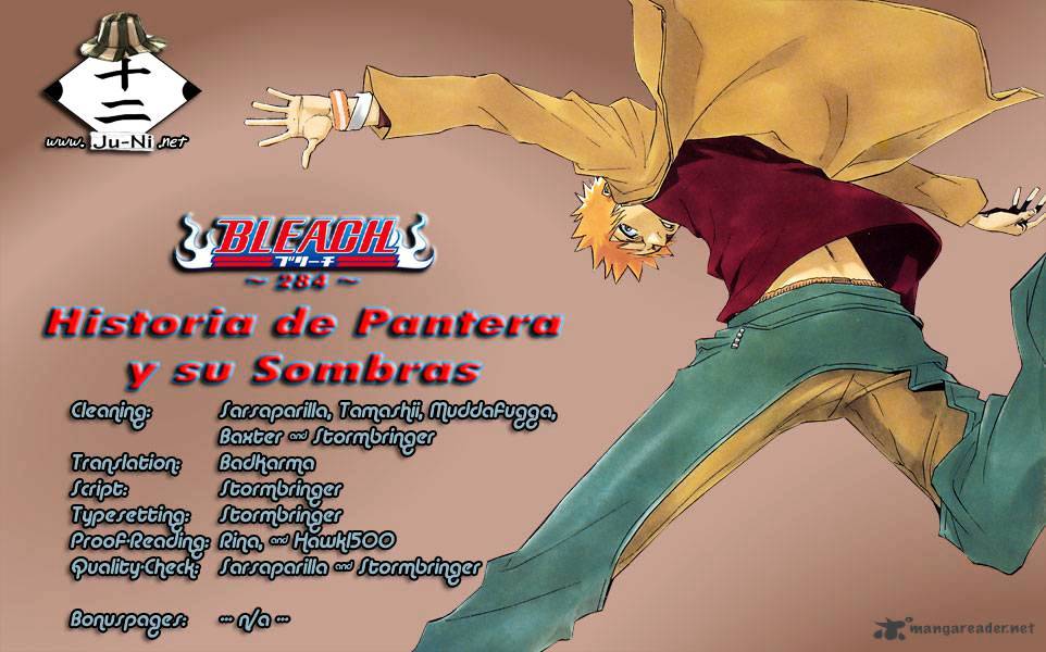 Bleach, Chapter 284