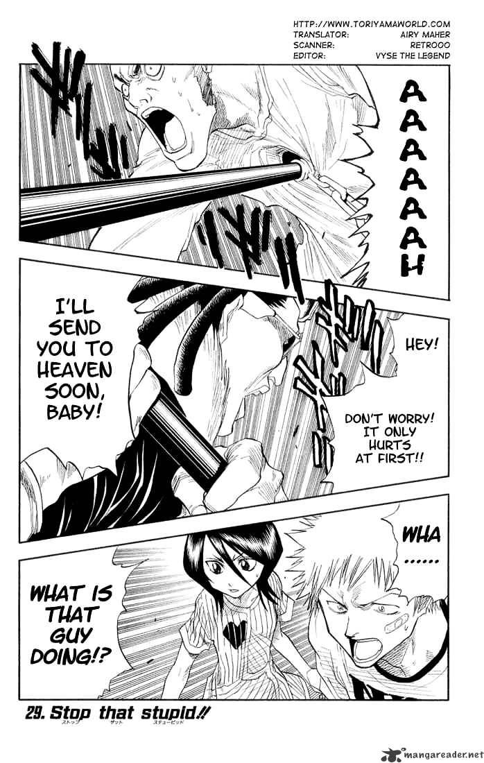 Bleach, Chapter 29