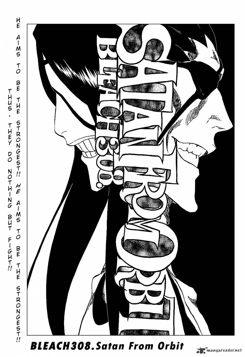 Bleach, Chapter 308