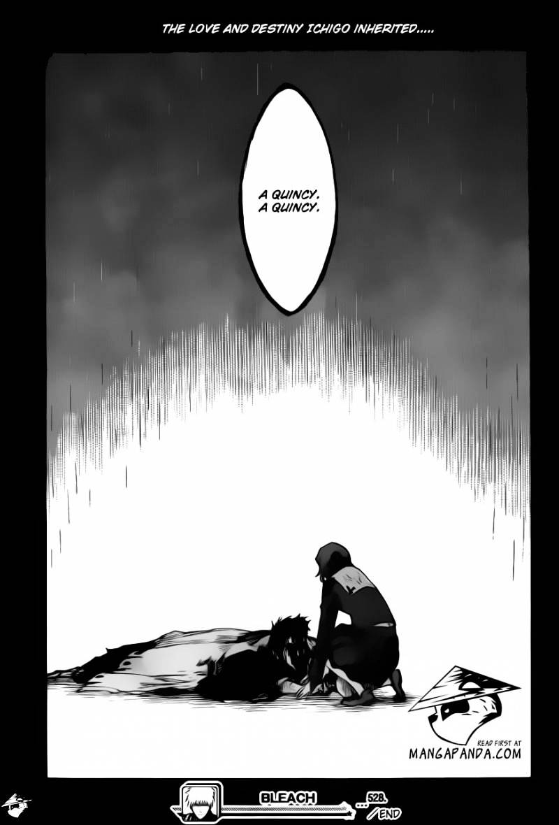 Bleach, Chapter 528