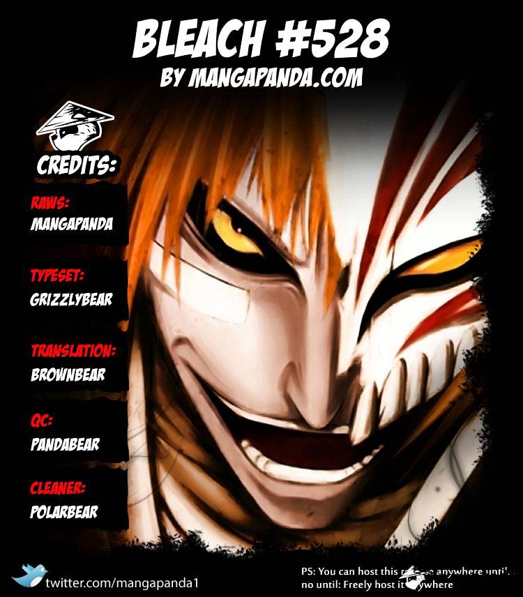 Bleach, Chapter 528