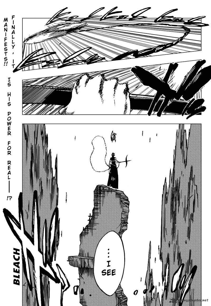 Bleach, Chapter 325