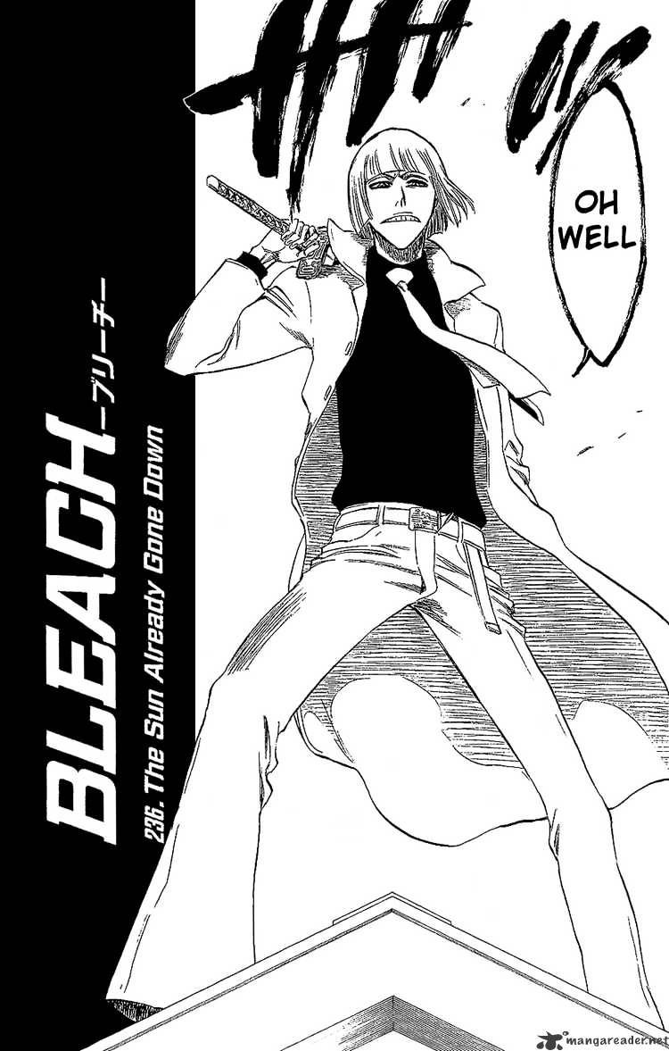 Bleach, Chapter 236