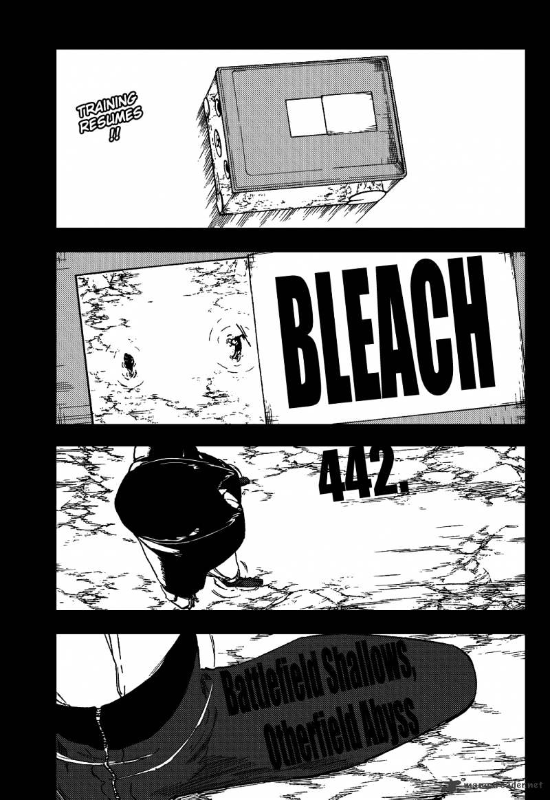 Bleach, Chapter 442