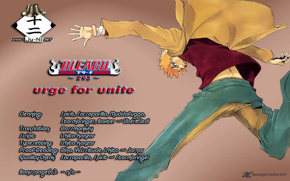 Bleach, Chapter 293