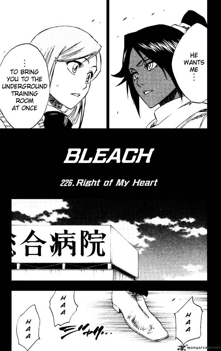 Bleach, Chapter 226