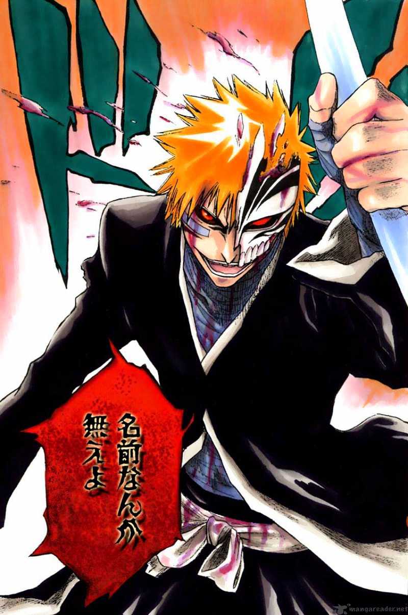 Bleach, Chapter 252