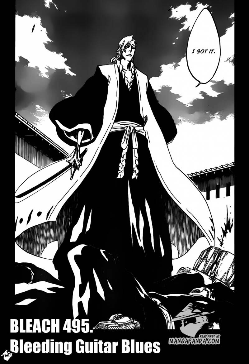 Bleach, Chapter 495