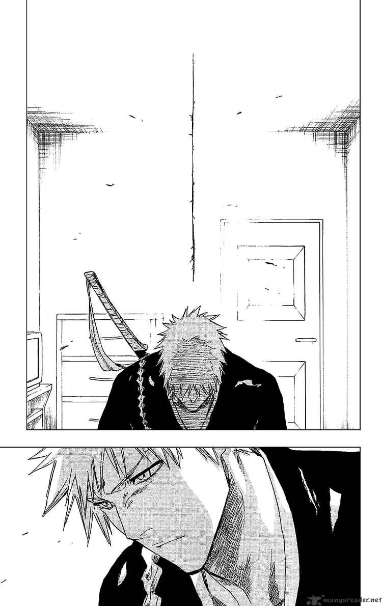 Bleach, Chapter 238