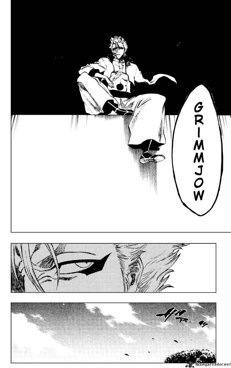 Bleach, Chapter 229