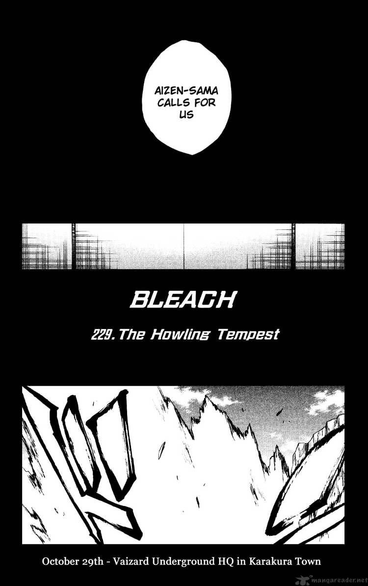 Bleach, Chapter 229