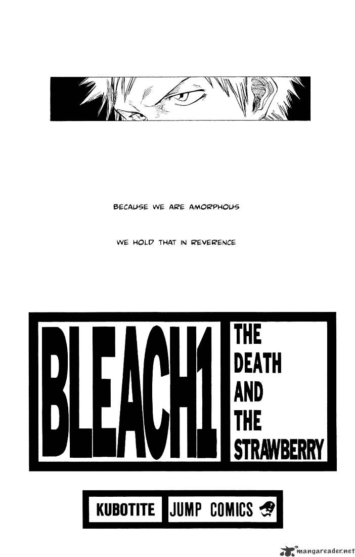 Bleach, Chapter 1