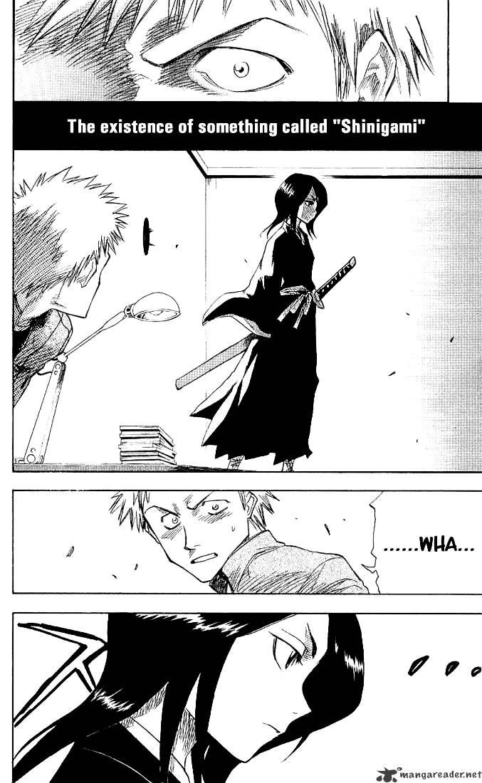 Bleach, Chapter 1