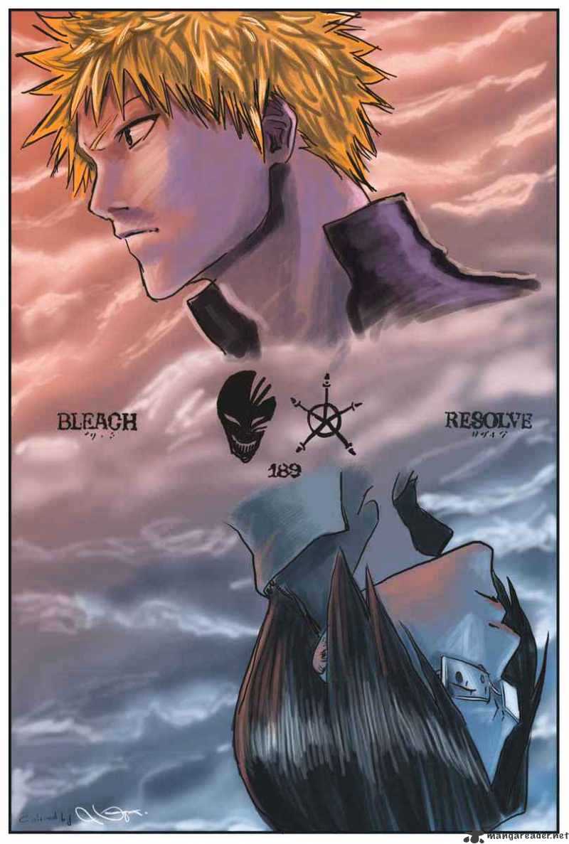 Bleach, Chapter 194