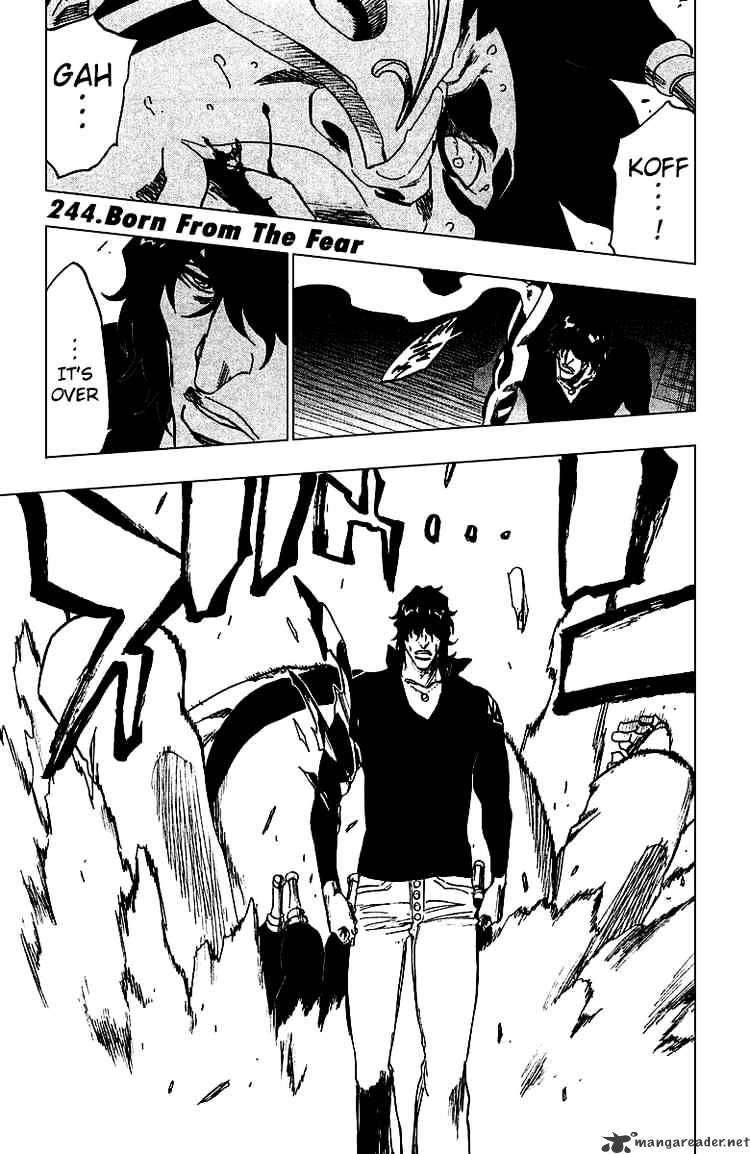 Bleach, Chapter 244