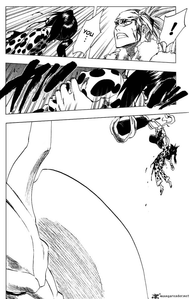 Bleach, Chapter 208