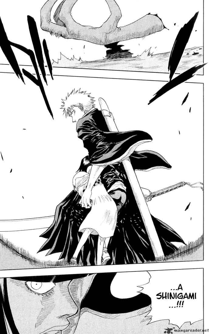 Bleach, Chapter 20