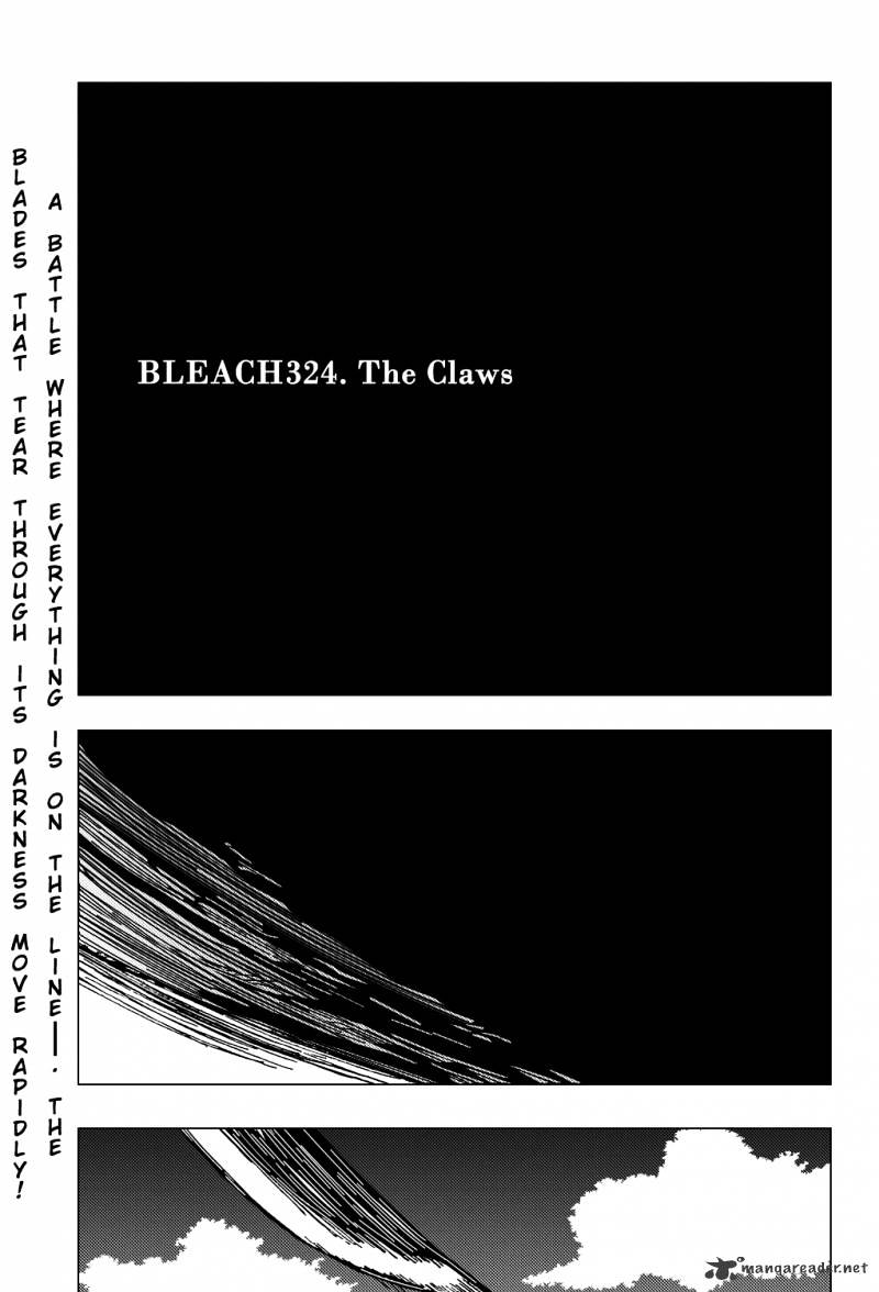 Bleach, Chapter 324