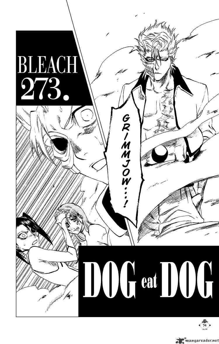 Bleach, Chapter 273