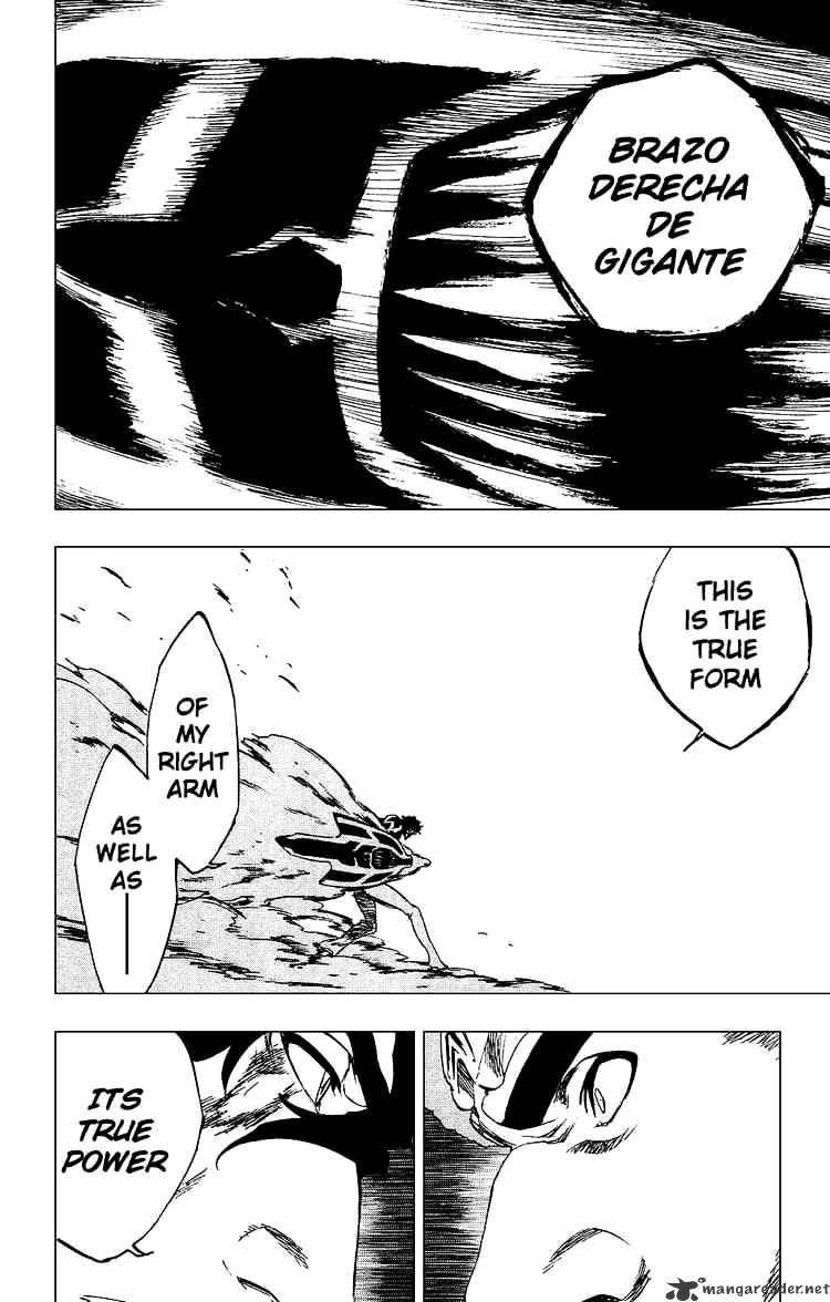 Bleach, Chapter 260