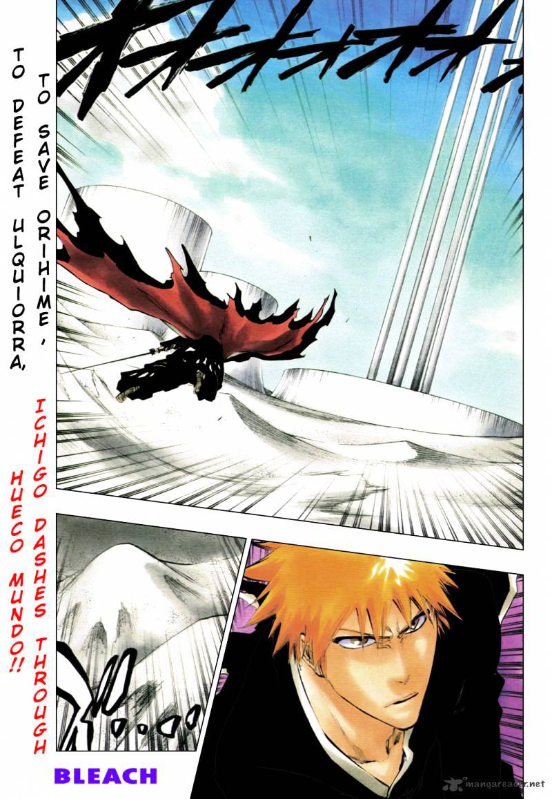 Bleach, Chapter 317