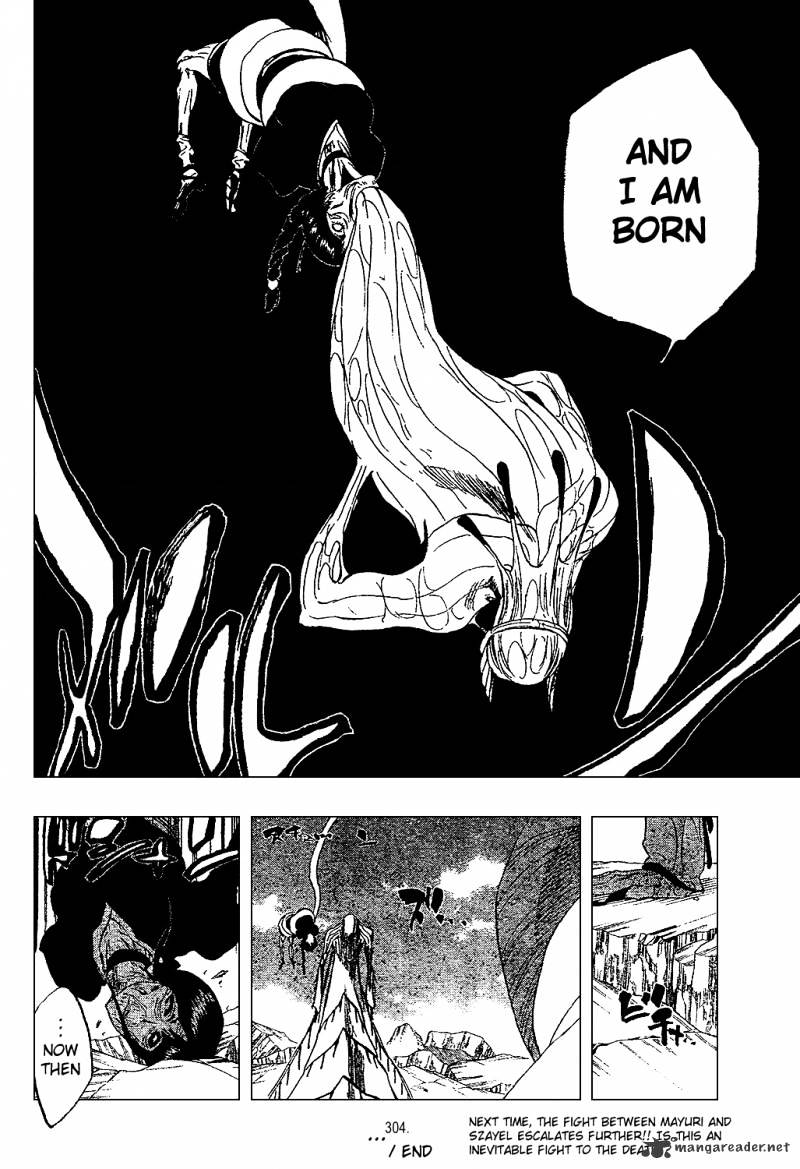 Bleach, Chapter 304