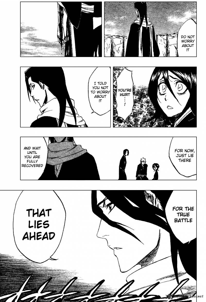 Bleach, Chapter 304