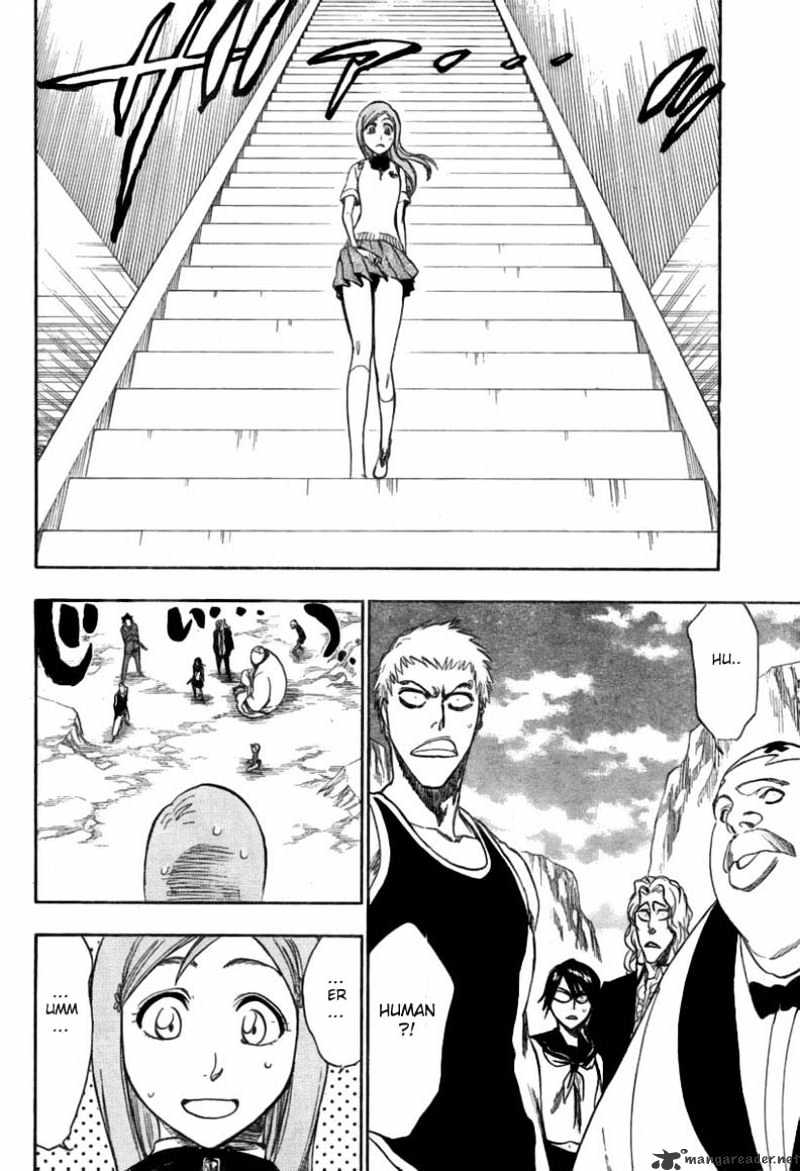 Bleach, Chapter 225