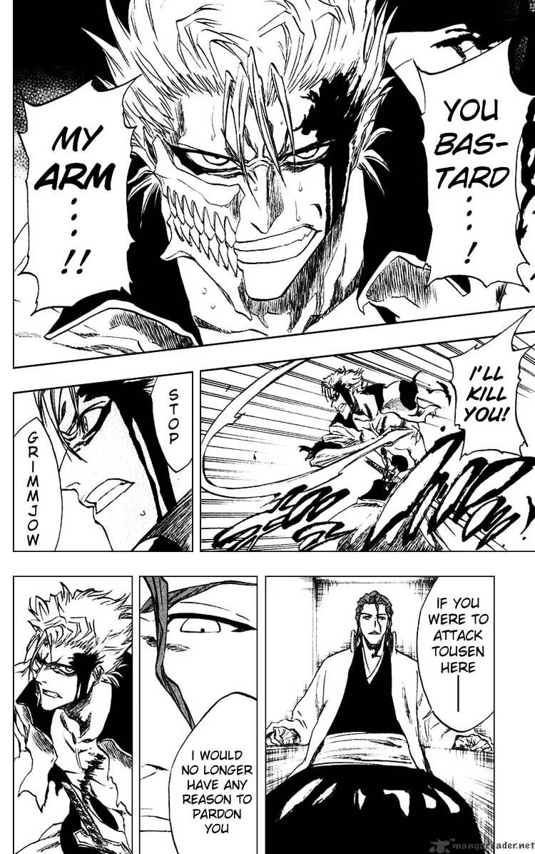 Bleach, Chapter 213