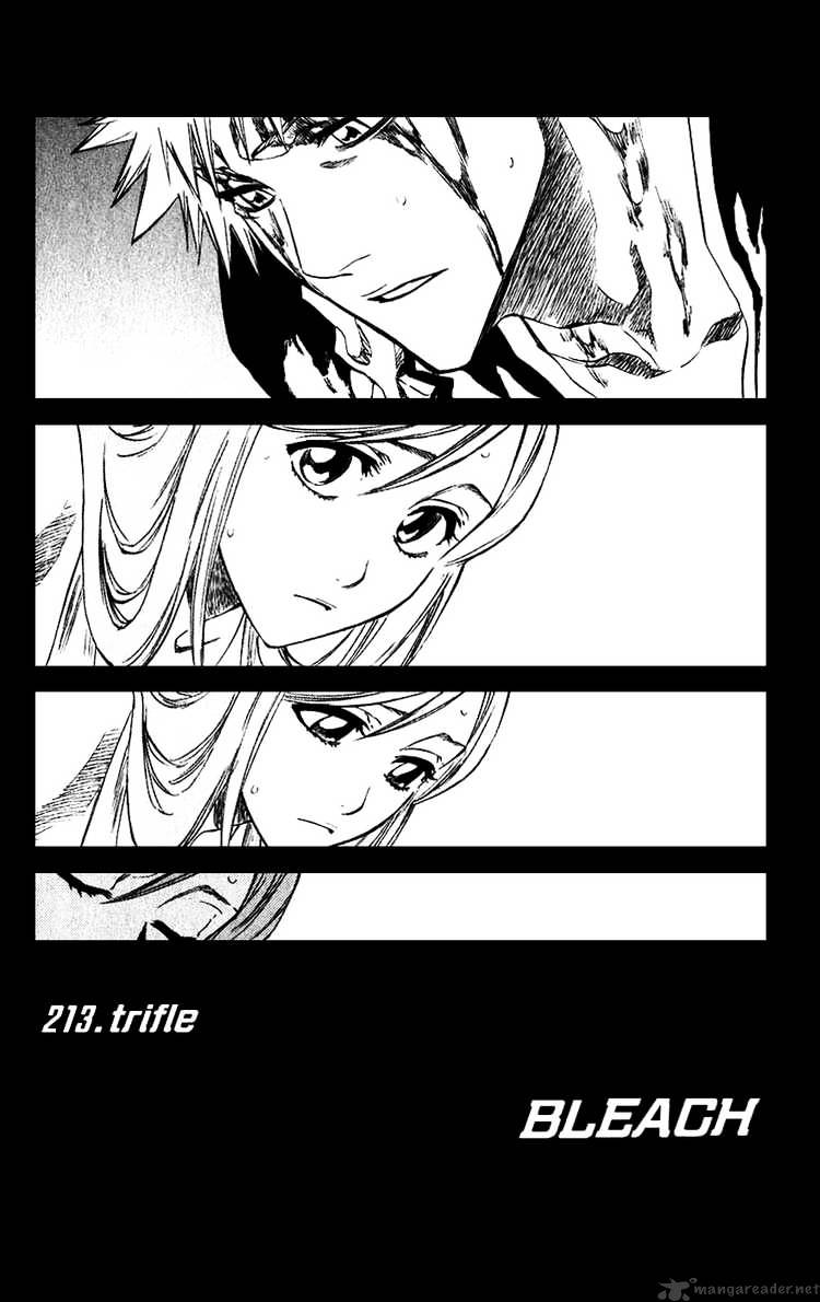 Bleach, Chapter 213