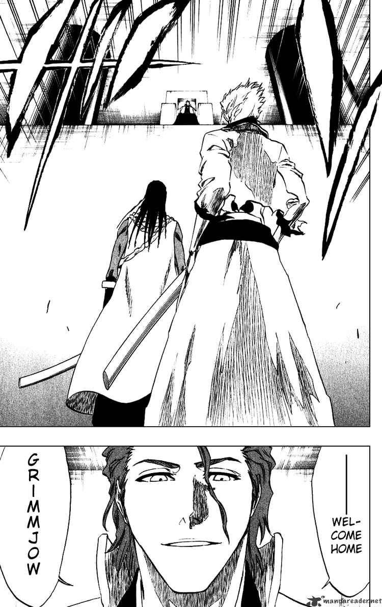 Bleach, Chapter 213