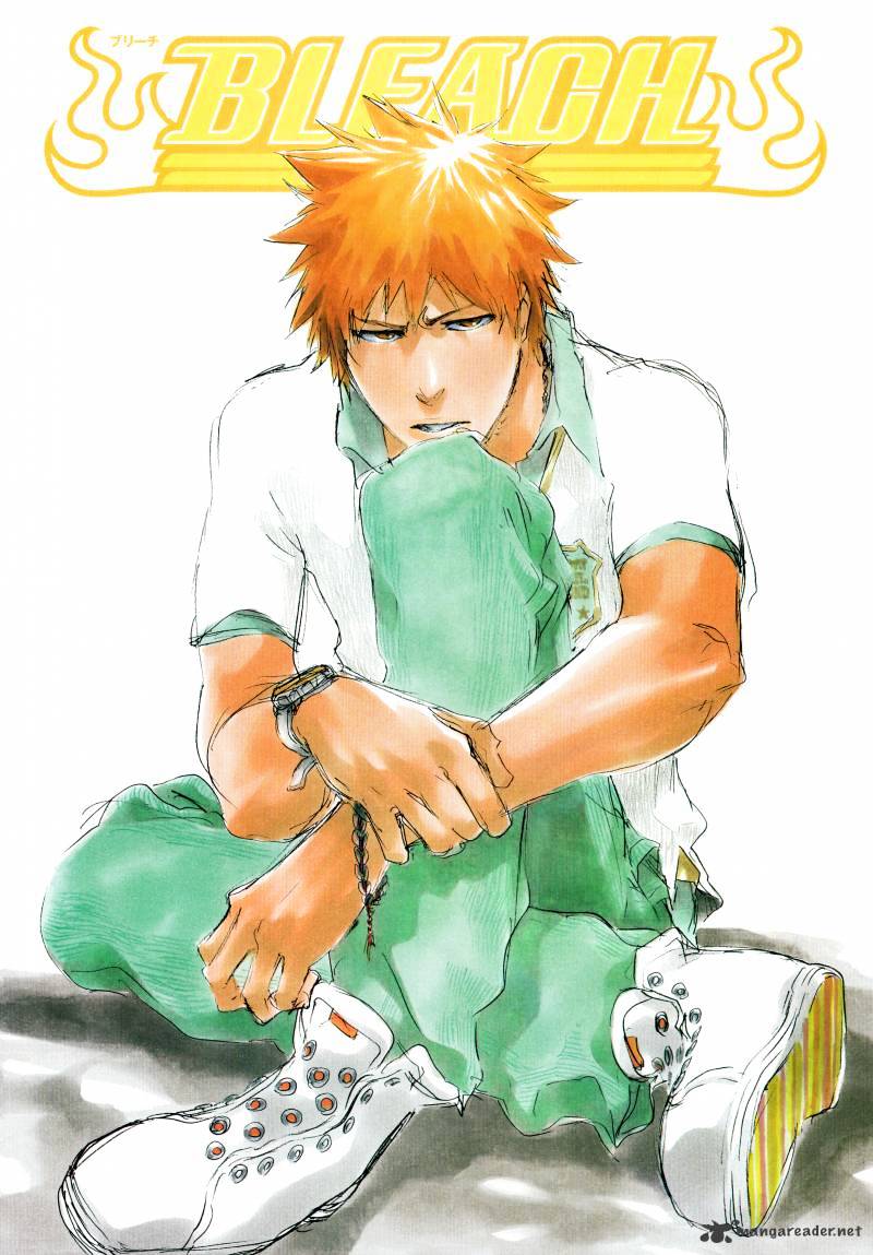 Bleach, Chapter 411