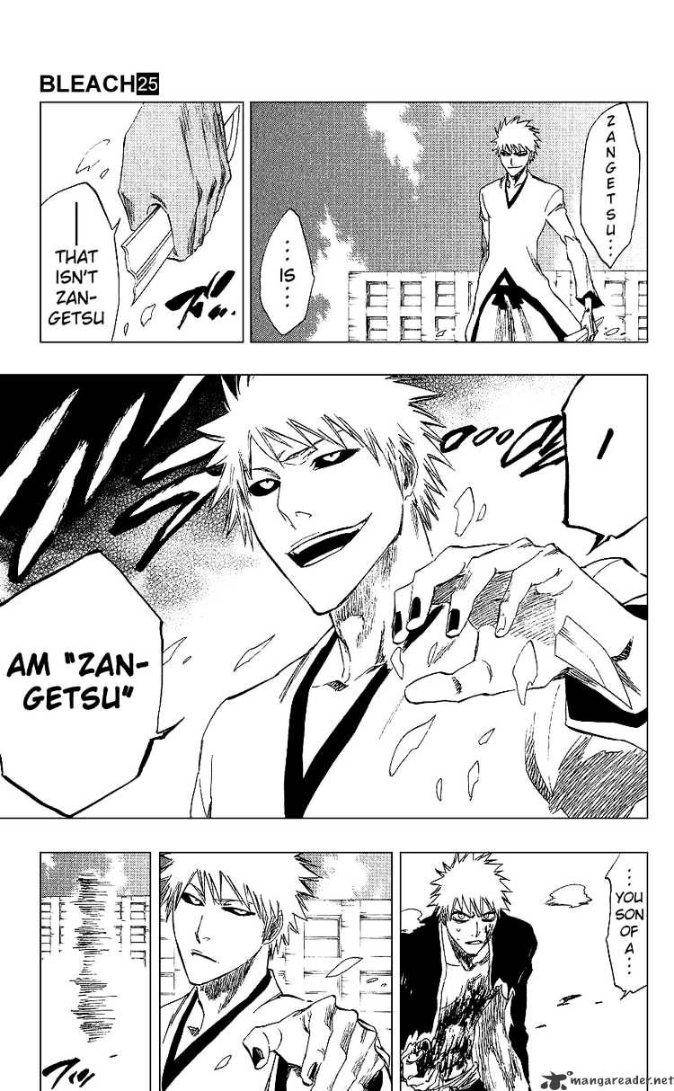 Bleach, Chapter 220