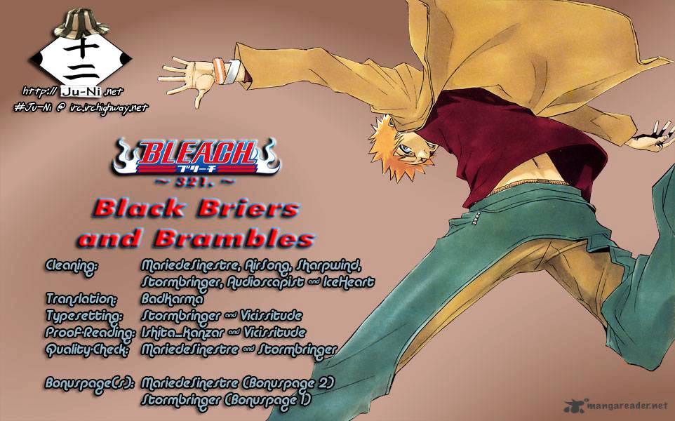 Bleach, Chapter 321