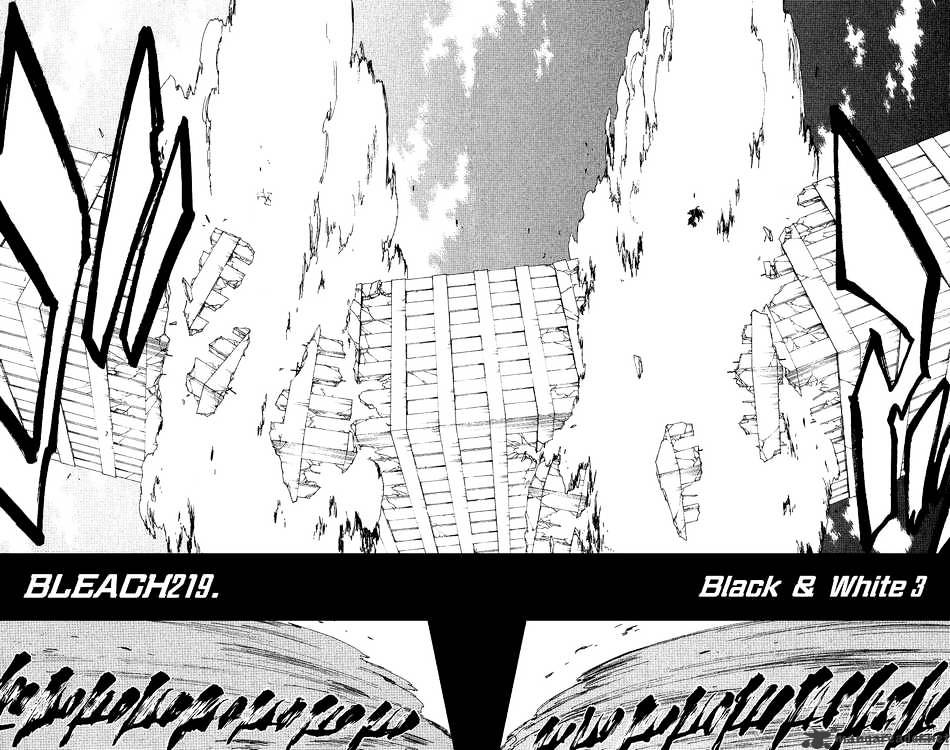 Bleach, Chapter 219