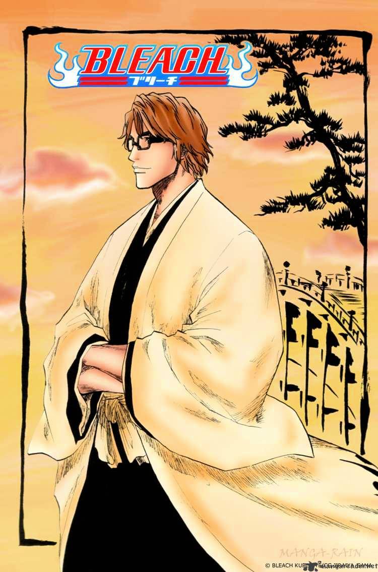 Bleach, Chapter 177