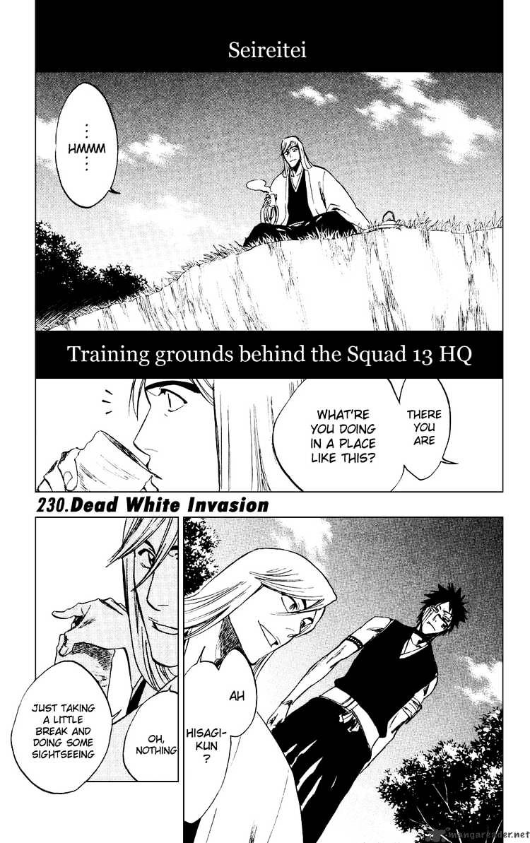 Bleach, Chapter 230