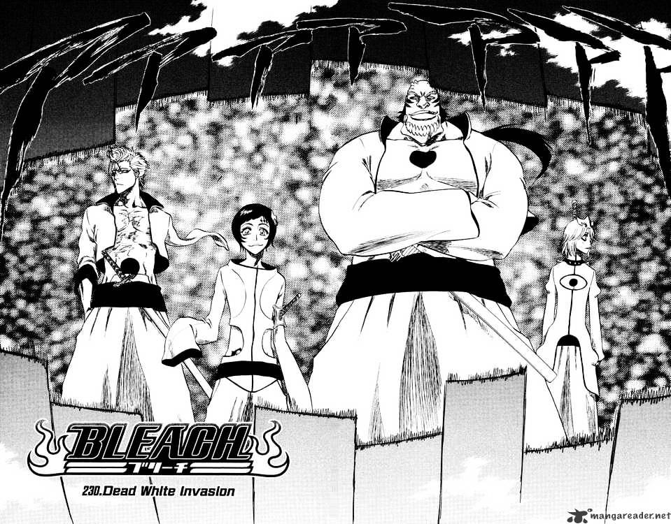 Bleach, Chapter 230