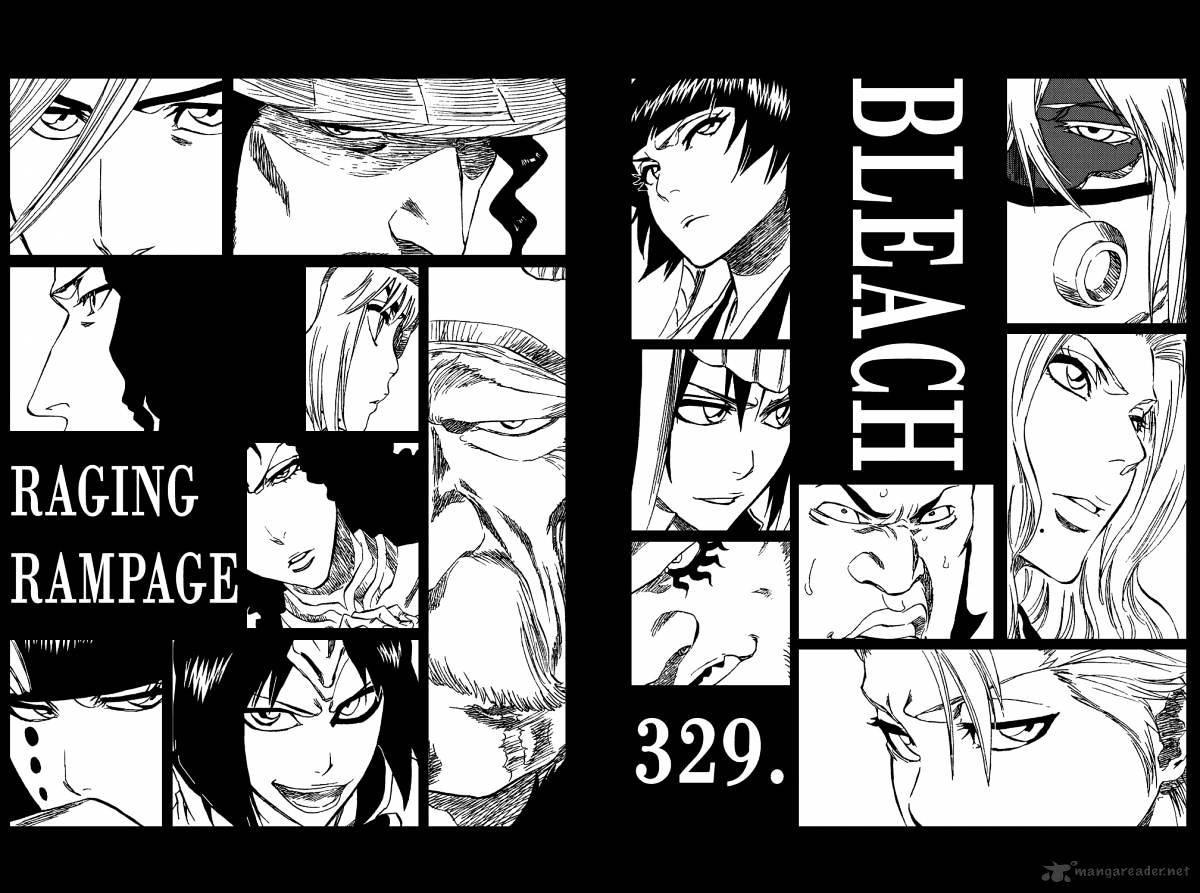 Bleach, Chapter 329