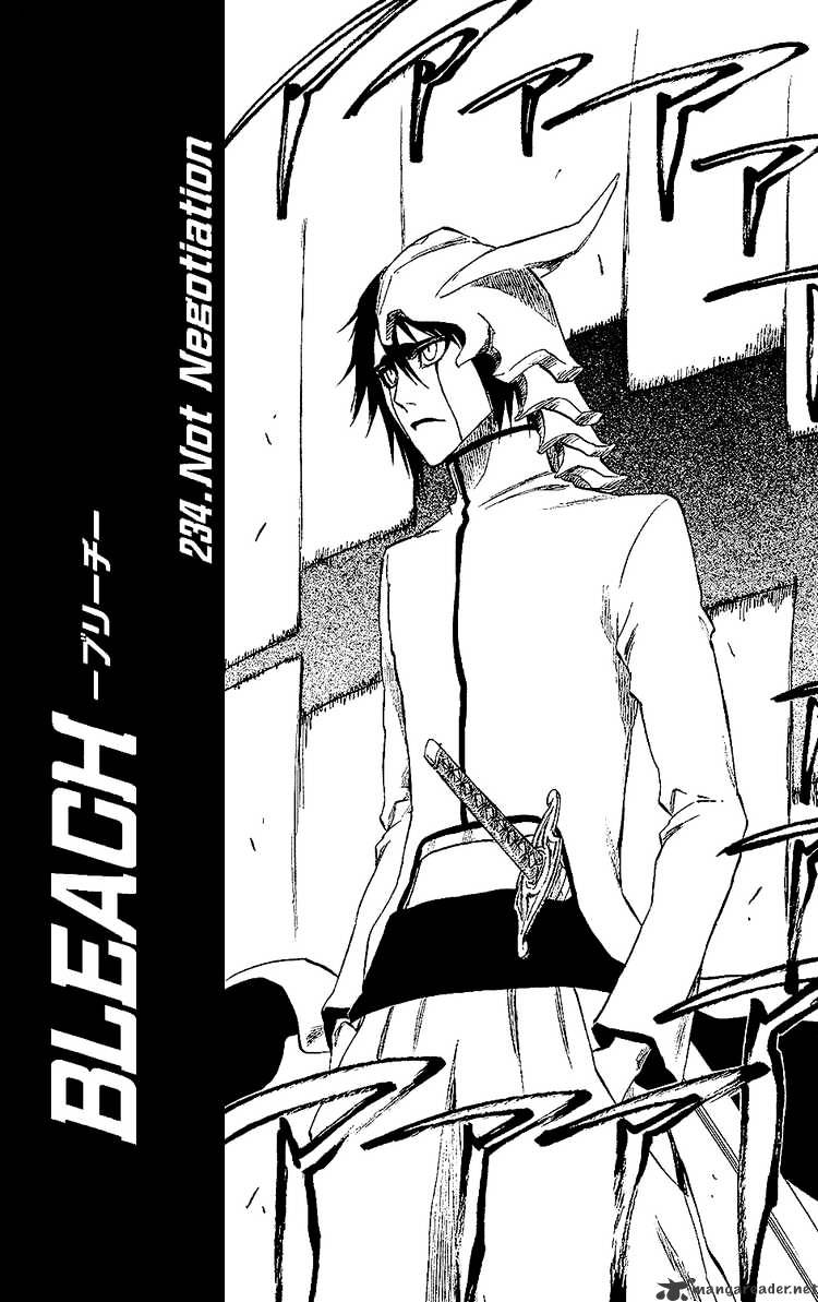 Bleach, Chapter 234